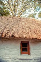 grass thatched roof 