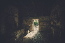 sunlight through a cellar door 
