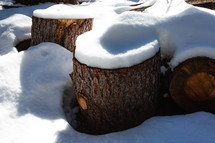 Cut tree trunks covered in snow