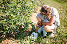 toddler boy and mother picking blueberries 