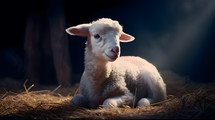 AI art of a A lamb in a stable.
