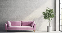 Sleek minimalist interior featuring a striking pink sofa and a potted indoor tree beside a large window.