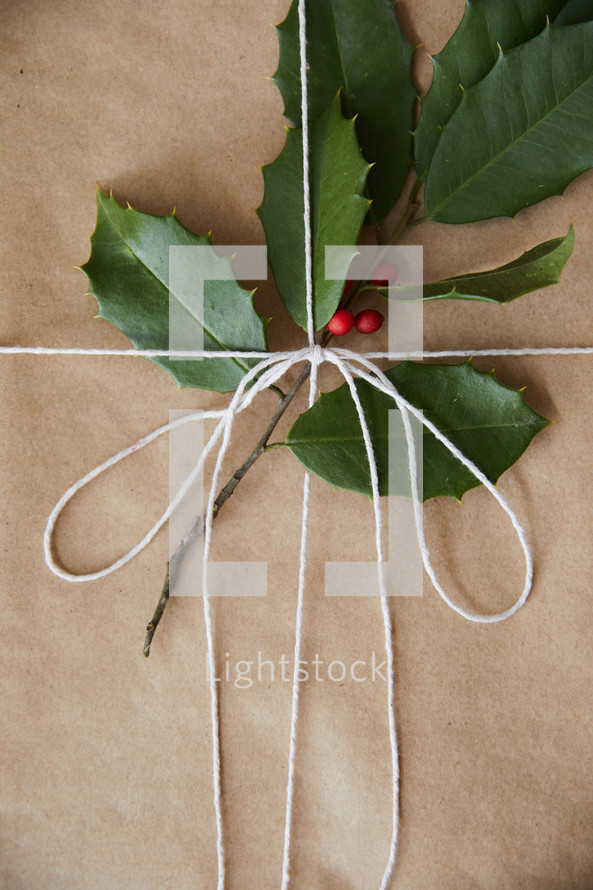 wrapped Christmas gift background 