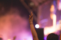 raised hand at a concert 