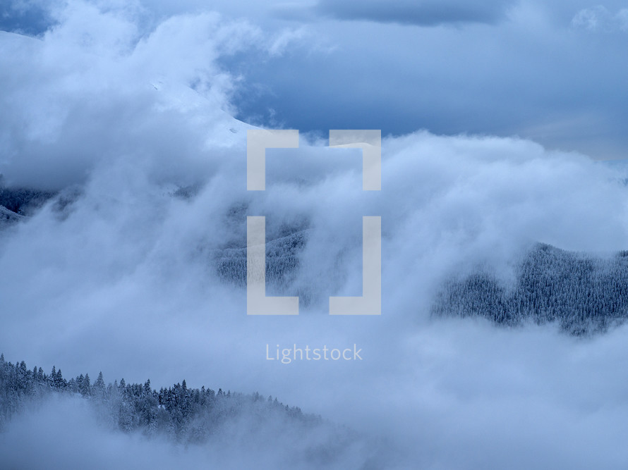 clouds over a winter mountain forest 