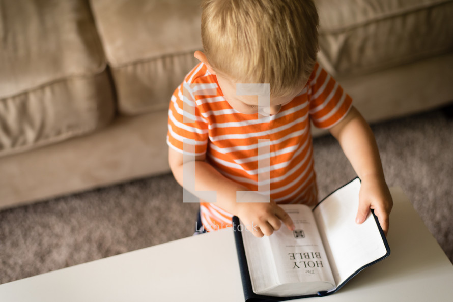 a toddler boy reading a Bible 