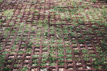 field carpet with natural field, Geometric texture with herbs