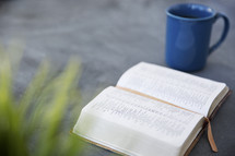 an open Bible and coffee mug on a table 