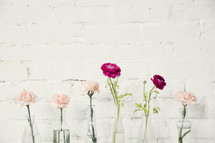 row of flowers in vases 