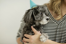 a woman holding a dog in a party hat 