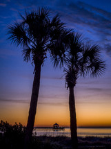 silhouette of palm trees and pier on a beach 