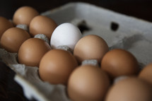 One white egg in a carton of brown eggs.