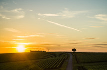 sunrise over farmland 