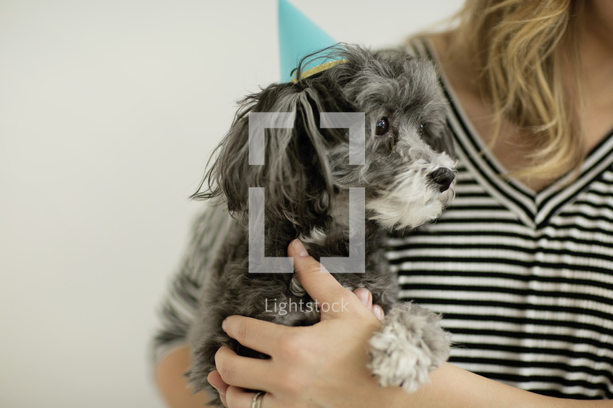 a woman holding a dog in a party hat 