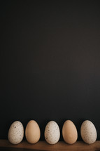 eggs on a black background 
