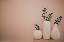 plants in white vases 