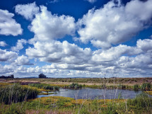 clouds over marshland