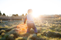 Sunshine on a child in a field.