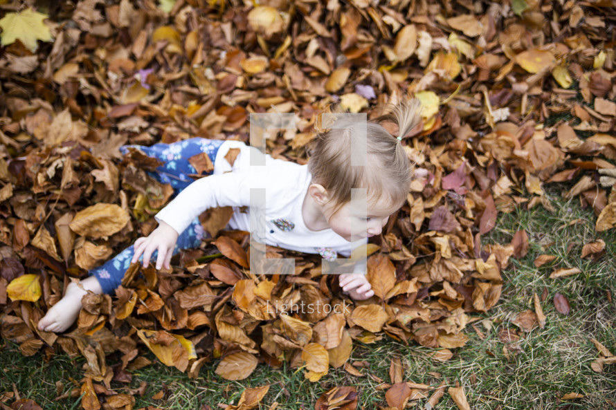 Little girl playing in a pile of fall leaves