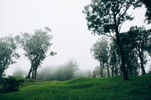 fog over grassy hills 