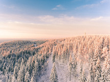 aerial view over a snow covered forest 