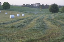 hay bales wrapped in plastic in a field 