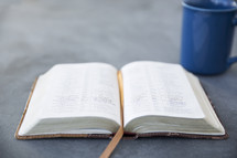 open Bible and blue coffee mug 