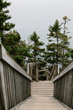 wooded steps to a shore 