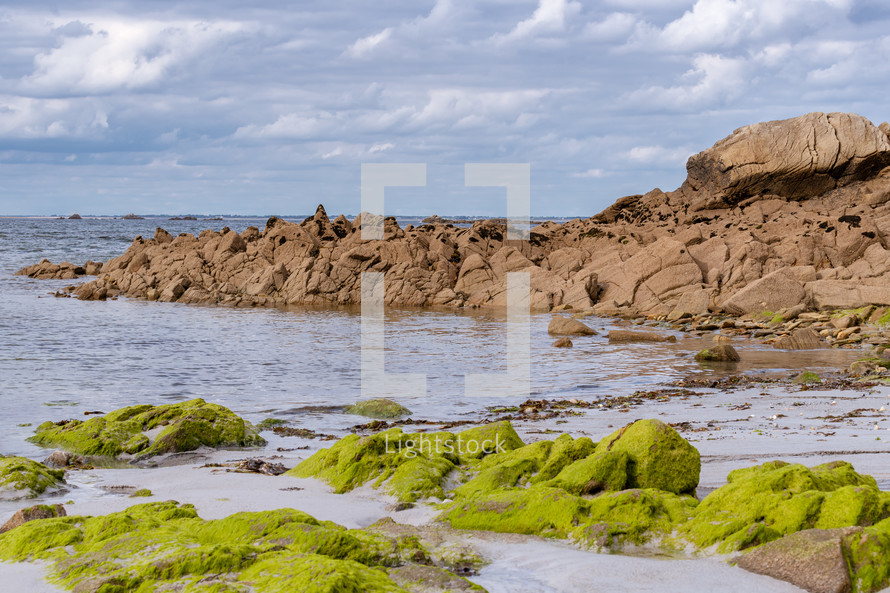 moss on rocks along a shore 