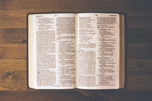 open pages of a Bible 