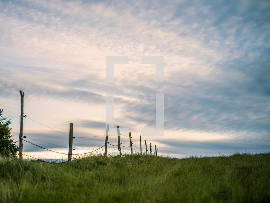 fence through a green rural landscape 