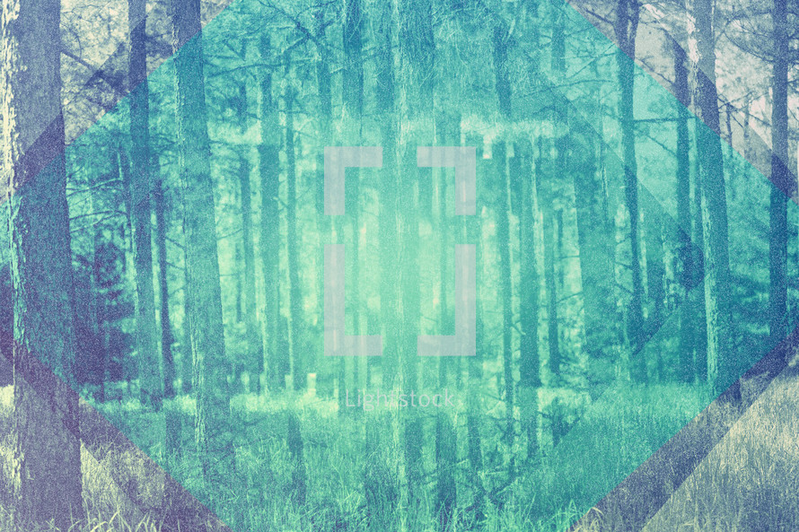 turquoise forest abstract background 
