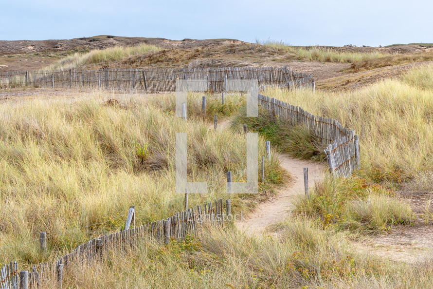 path through sand dunes 