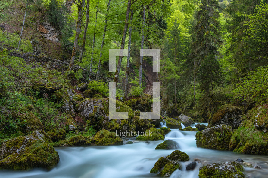 French landscape - Chartreuse. Wild river with waterfall in forest