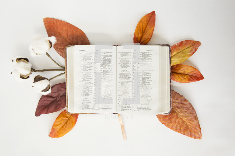 Bible on fall leaves 