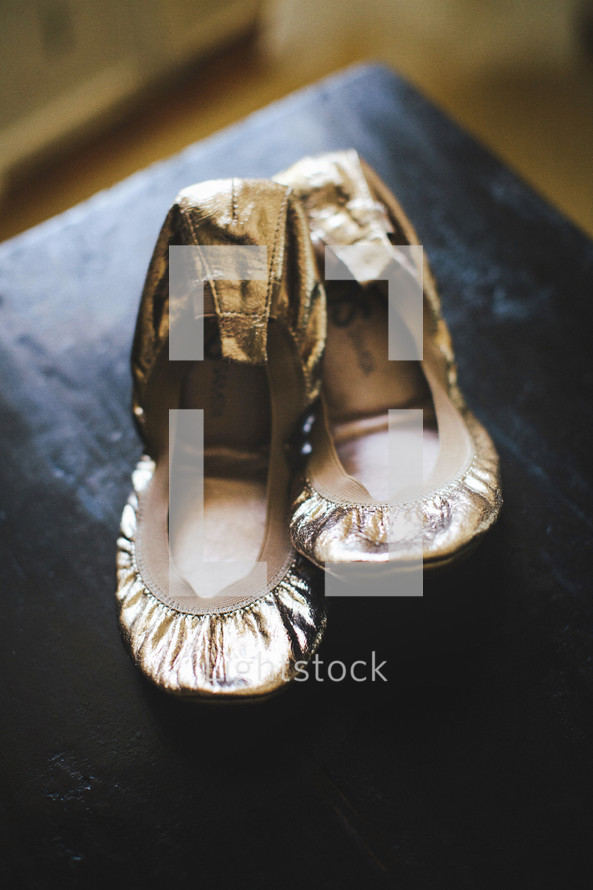 ballet flats shoes
