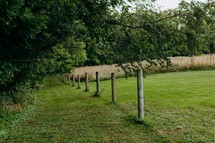 country scene with fence line 