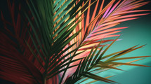 Palm leaves background with colorful fronds. 