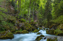 French landscape - Chartreuse. Wild river with waterfall in forest