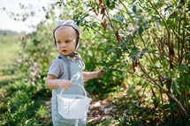 toddler boy exploring in a forest 