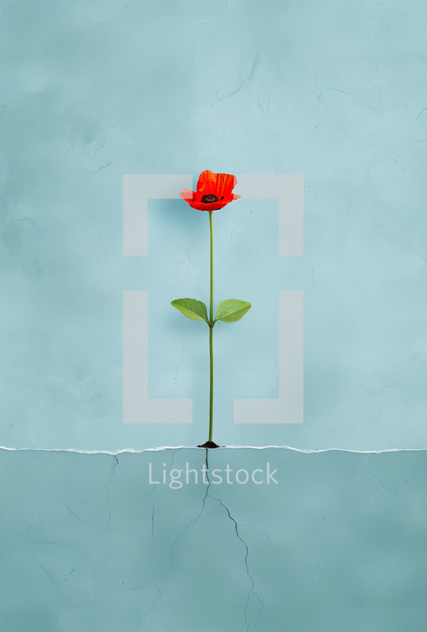 Minimalist poster of a single red flower growing through a crack in a light blue surface, symbolizing resilience, growth, and hope.