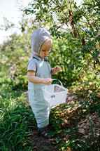 toddler boy exploring outdoors with a basket 