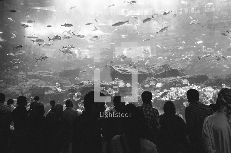 Aquarium visitors 