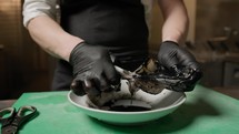 Chef Is Cleaning A Squid To Extract Black Ink Juice
