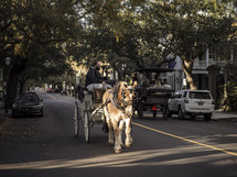 horse and carriage 