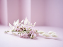 pink and white flowers on a pink background 