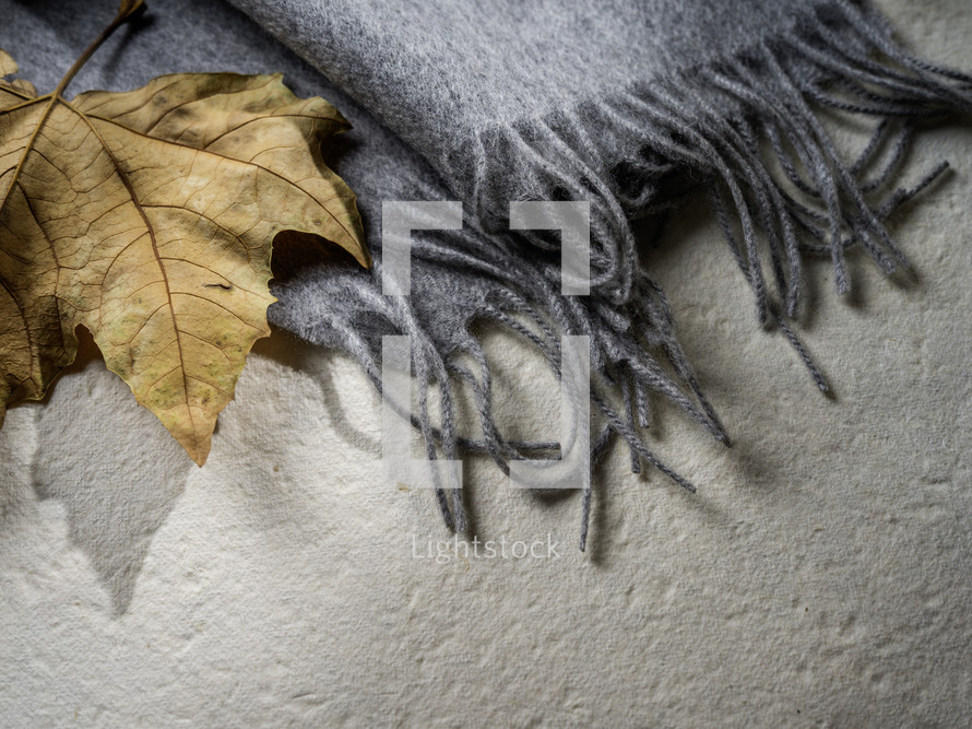 Autumn concept with leafs and scarf