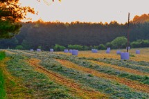 rows in a plowed field 