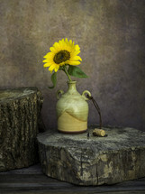 vase with a sunflower on tree stumps 