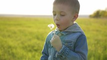 Beautiful little boy, blowing dandelions in the park. A small boy blows on a dandelion flower while playing in a summer day.
